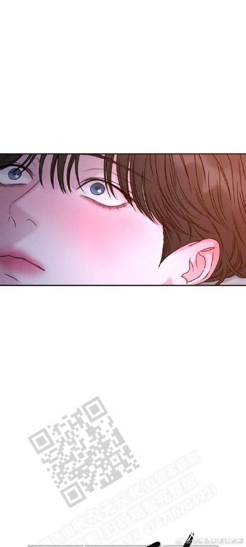 爱情岛论坛站长的秘密故事